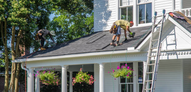 Best Roof Ventilation Installation  in Forestville, OH